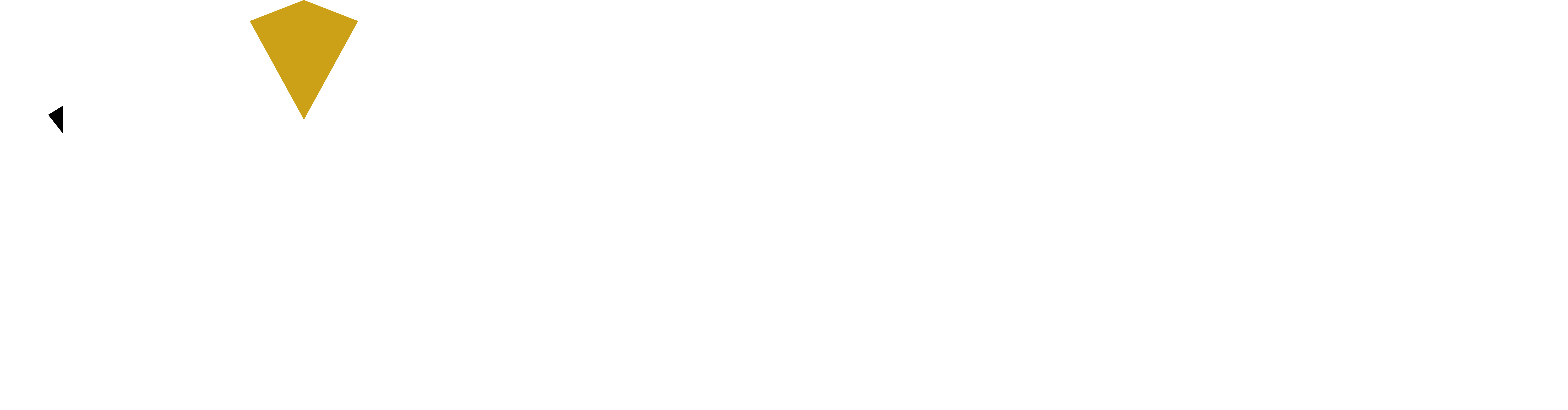 main_logo